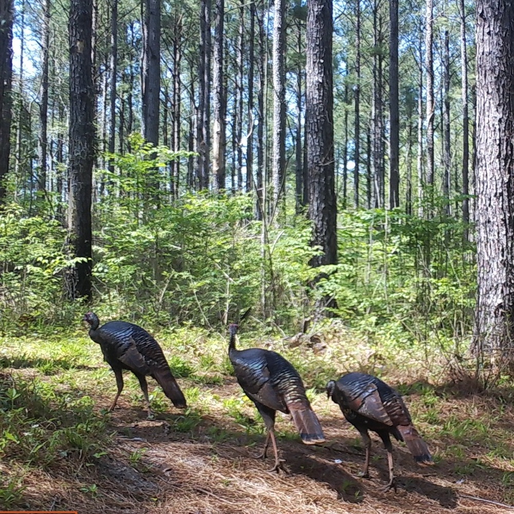 Meet your Posher, Jacqueline